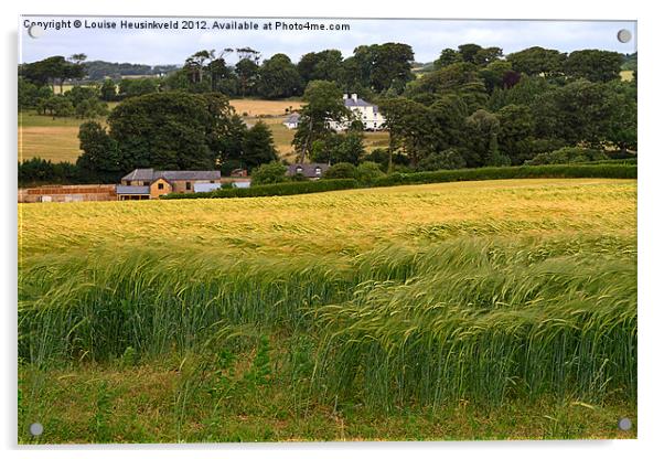 Devon Wheat Field Acrylic by Louise Heusinkveld