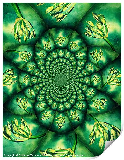 Floral Kaleidoscope. Print by Rosanna Zavanaiu