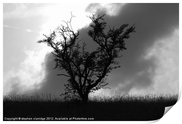 The black tree Print by stephen clarridge