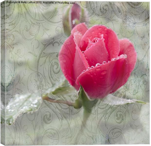 A Rose in the Rain Canvas Print by Betty LaRue