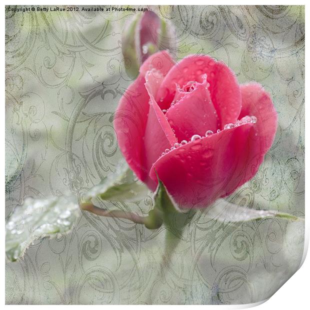 A Rose in the Rain Print by Betty LaRue