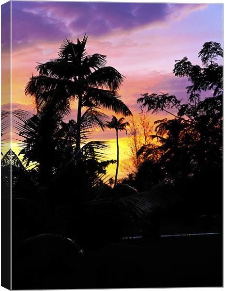 Sun silhouette over Green Lagoon Canvas Print by Arfabita  