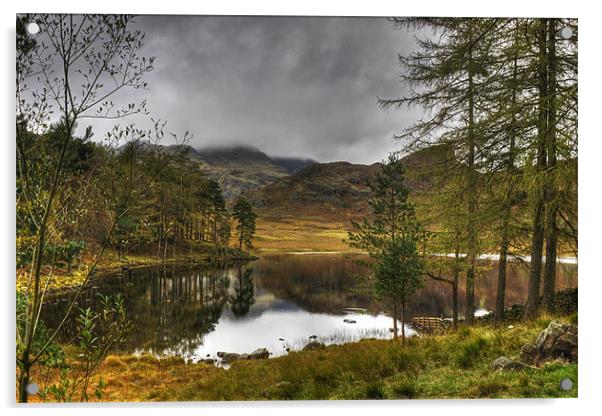 Blea Tarn In October Acrylic by Jamie Green