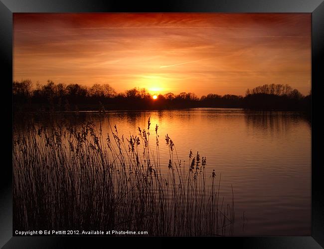 Sunset Over lake Framed Print by Ed Pettitt