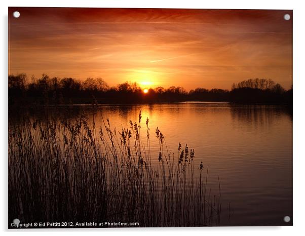 Sunset Over lake Acrylic by Ed Pettitt