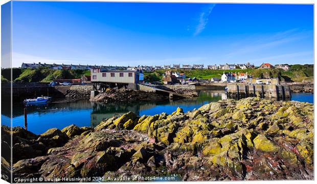 The harbour at St Abbs, Scotland Canvas Print by Louise Heusinkveld