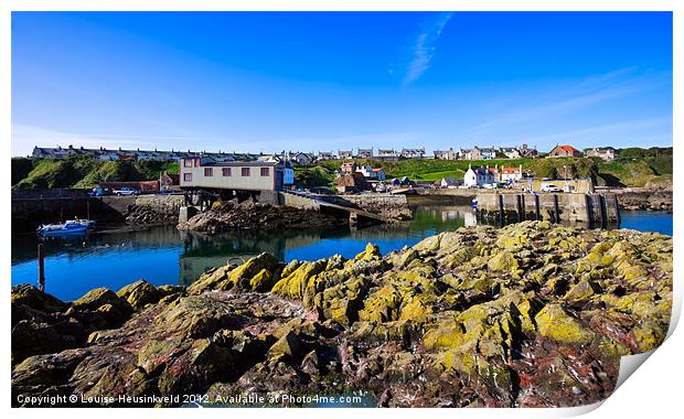 The harbour at St Abbs, Scotland Print by Louise Heusinkveld