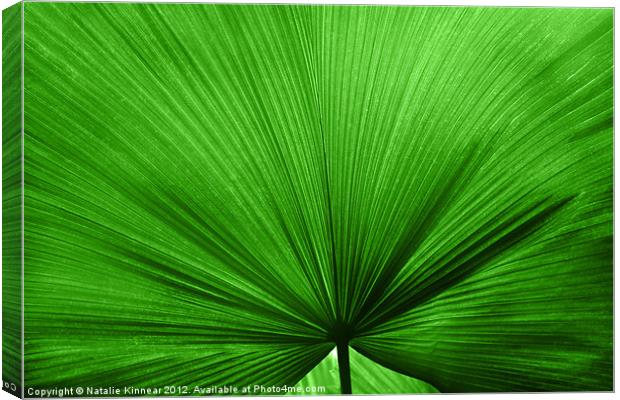 The Big Green Leaf Canvas Print by Natalie Kinnear