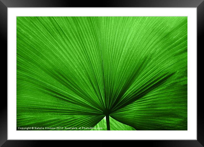 The Big Green Leaf Framed Mounted Print by Natalie Kinnear