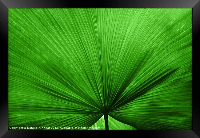 The Big Green Leaf Framed Print by Natalie Kinnear