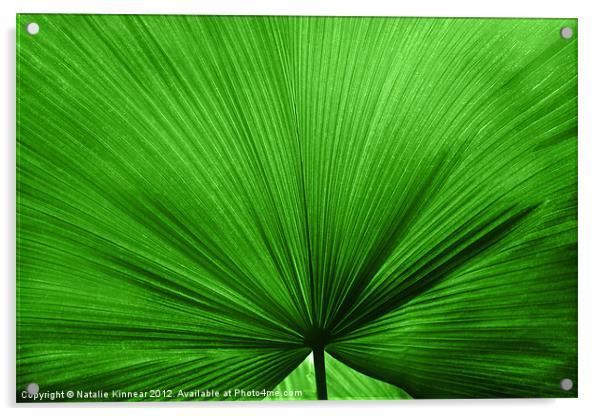 The Big Green Leaf Acrylic by Natalie Kinnear