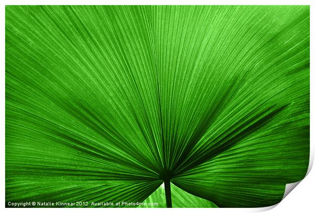 The Big Green Leaf Print by Natalie Kinnear