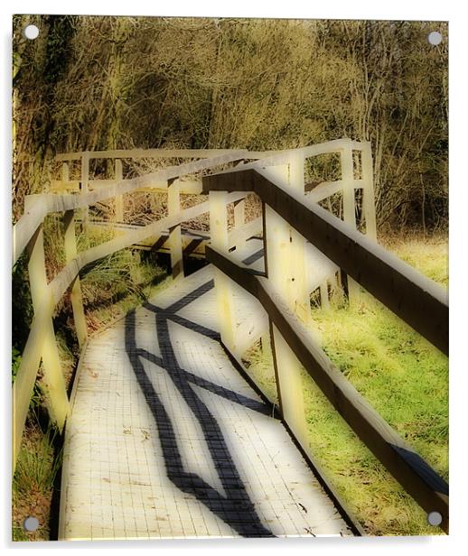 Bridge to nowhere Acrylic by Emma Howell-Williams