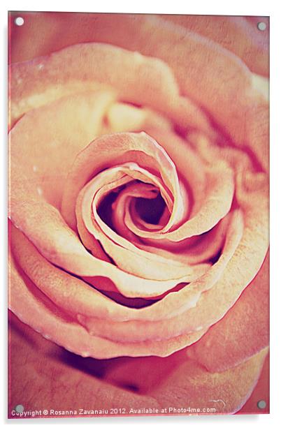 Rose Swirl Delicate. Acrylic by Rosanna Zavanaiu