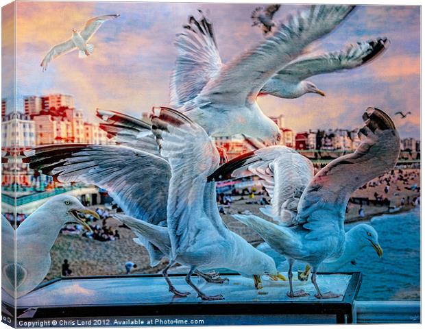 Seagulls on Brighton Pier Canvas Print by Chris Lord