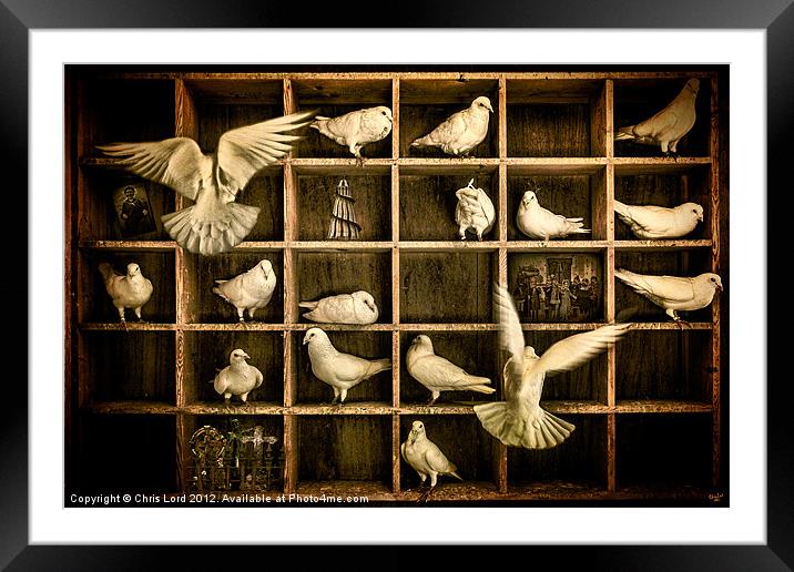 Pigeon Holed Framed Mounted Print by Chris Lord