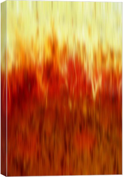 into the flames Canvas Print by Heather Newton