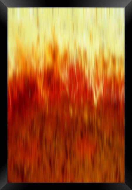 into the flames Framed Print by Heather Newton
