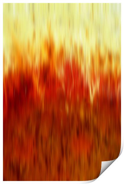 into the flames Print by Heather Newton