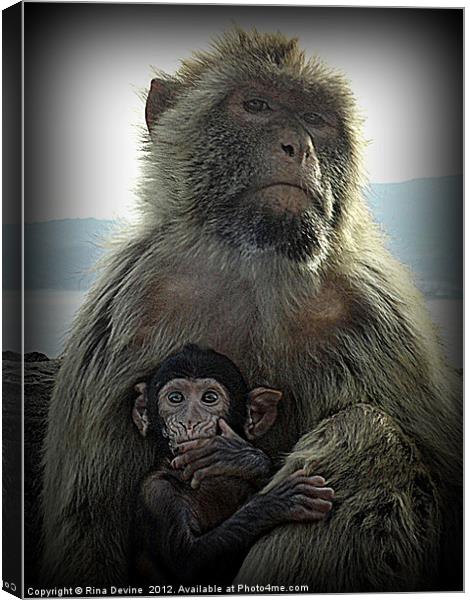 Me and my baby Canvas Print by Fine art by Rina