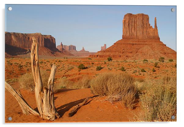 Monument Valley Acrylic by peter schickert
