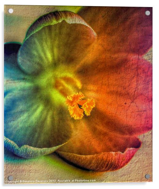 Artsy Floral. Acrylic by Rosanna Zavanaiu