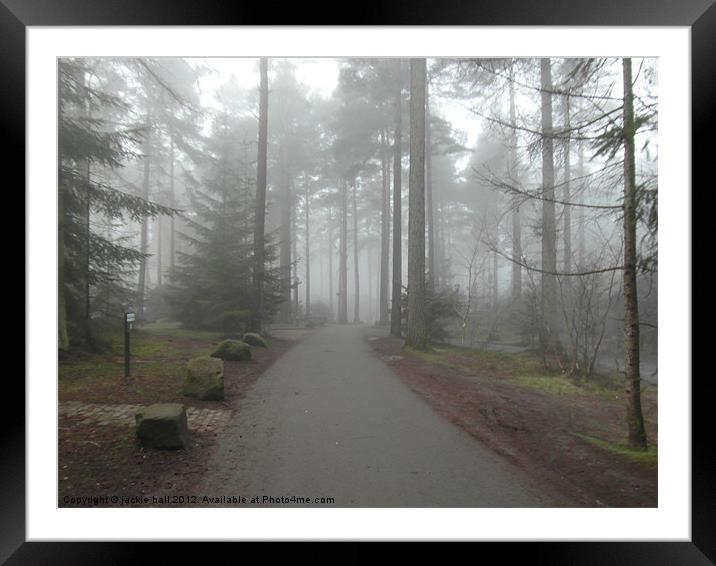 Misty forest Framed Mounted Print by jackie hall