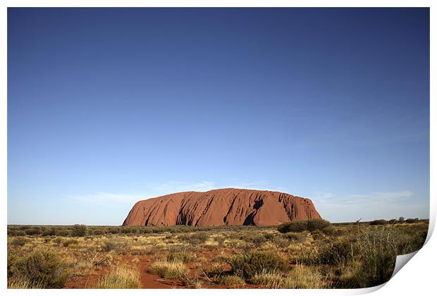 Uluru or Ayers Rock Print by peter schickert