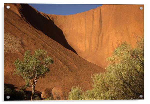 Ayers Rock Uluru Acrylic by peter schickert