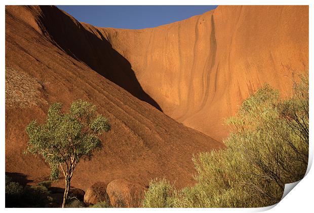 Ayers Rock Uluru Print by peter schickert