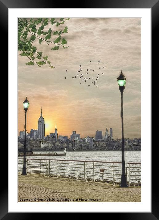 GOOD MORNING NEW YORK Framed Mounted Print by Tom York