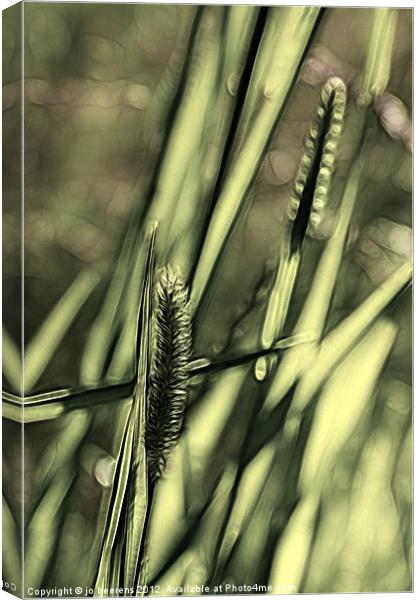 g for grass Canvas Print by Jo Beerens