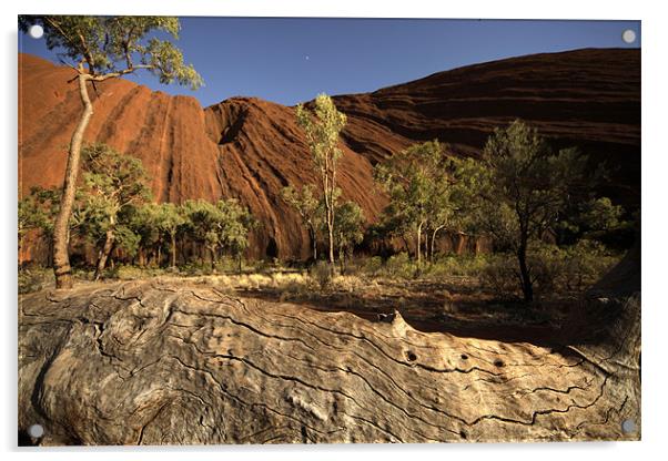 Uluru or Ayers Rock Acrylic by peter schickert