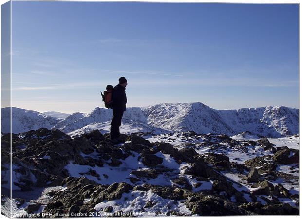 Coniston Old Man Summit, Cumbria Canvas Print by DEE- Diana Cosford