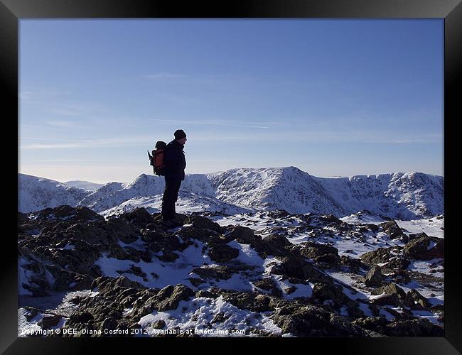 Coniston Old Man Summit, Cumbria Framed Print by DEE- Diana Cosford