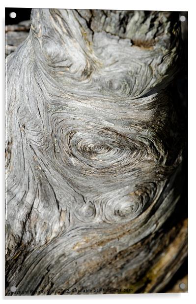 WOODEN FINGERPRINT eddies in the grain of an old log like whorls on a finger Acrylic by Andy Smy
