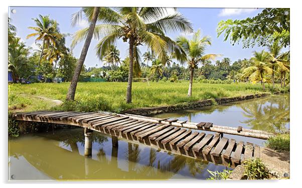 wooden walkway to paddy fields Acrylic by Arfabita  