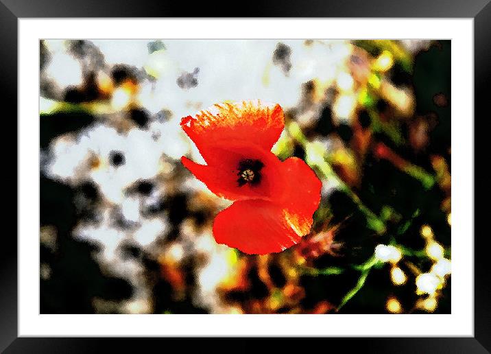 Poppy in foliage through frosted glass Framed Mounted Print by Arfabita  