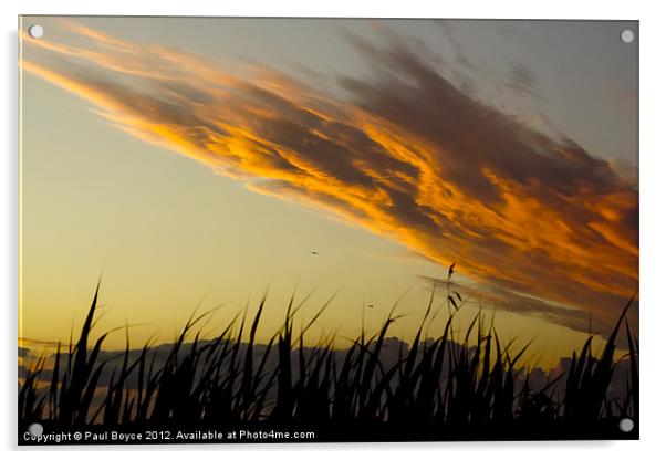 Speeding Cloud Sunset Acrylic by Paul Boyce