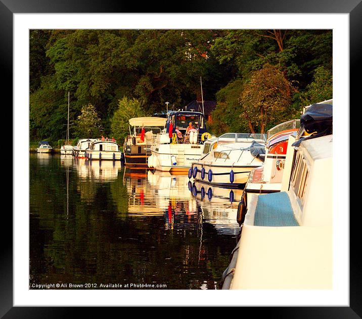 Moored for the night Framed Mounted Print by Ali Brown