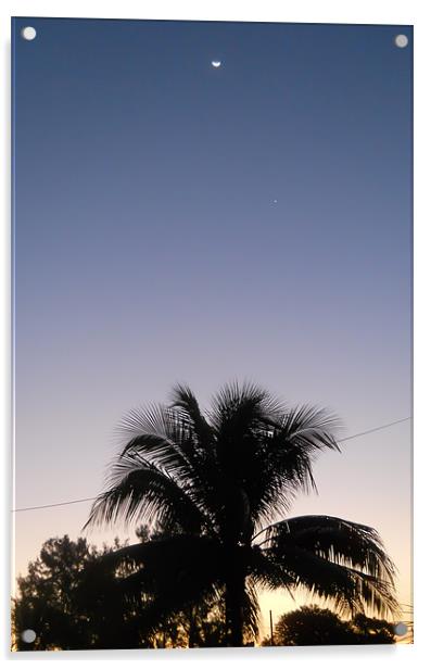 Palm Tree Sunset. Acrylic by Kitty 