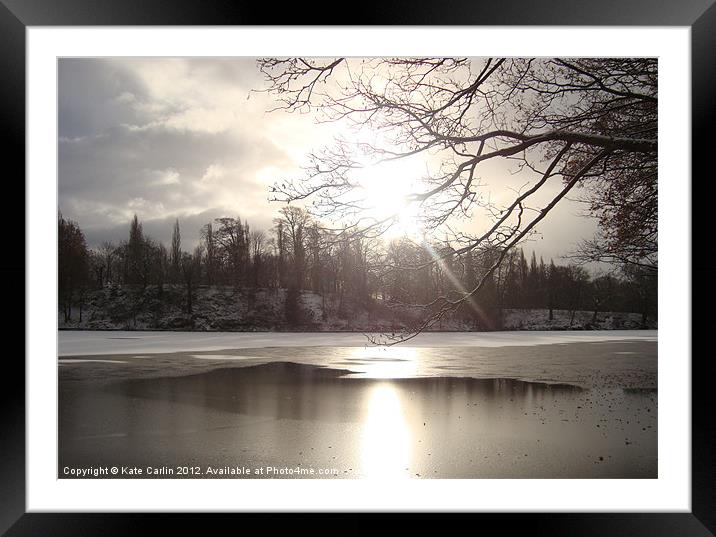 Sun Through Tree Branches. Framed Mounted Print by Kitty 