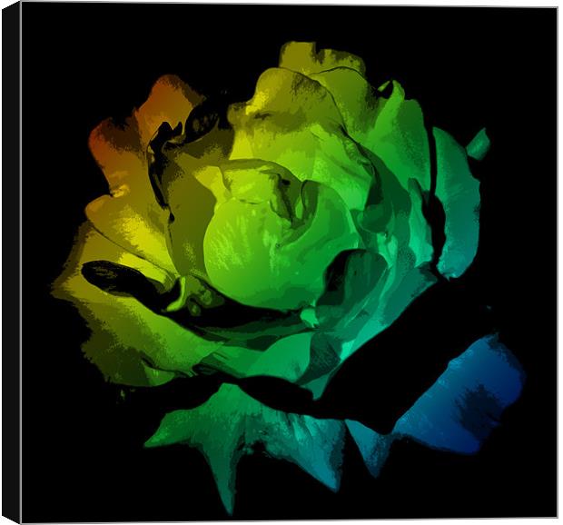 Colourful Flower Canvas Print by Ade Robbins