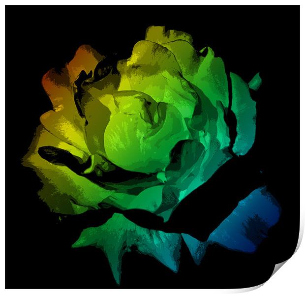 Colourful Flower Print by Ade Robbins