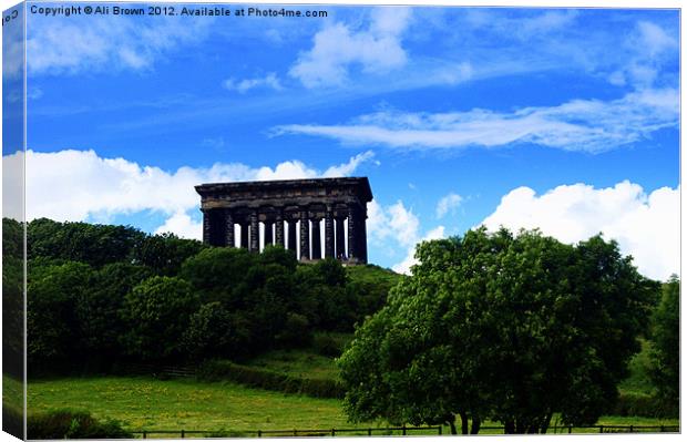 Penshaw Monument Canvas Print by Ali Brown