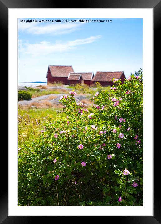 Archipelago of Stockholm, rose bush Framed Mounted Print by Kathleen Smith (kbhsphoto)