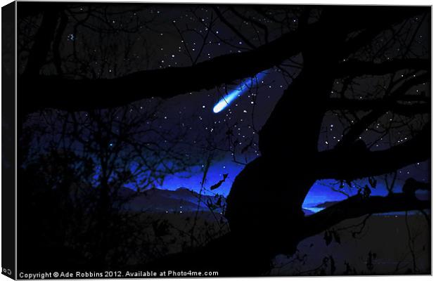 Through The Trees Canvas Print by Ade Robbins