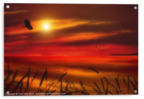 AUGUST SUNSET Acrylic by Tom York