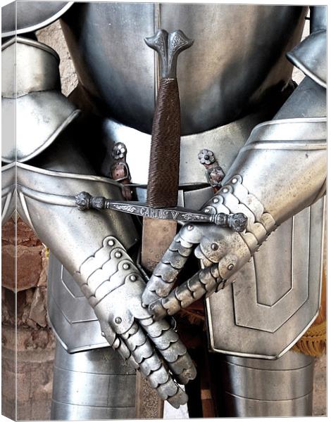 Knight In Shining Armour Canvas Print by Noreen Linale
