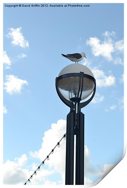 London Gull Print by David Griffin